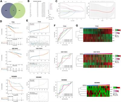 Development of a novel, clinically relevant anoikis-related gene signature to forecast prognosis in patients with prostate cancer